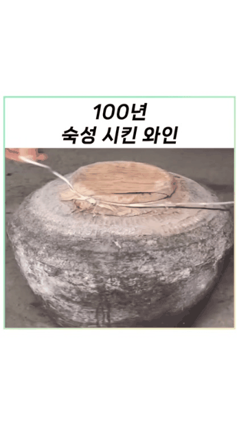 100년 숙성시킨 와인 | 인스티즈