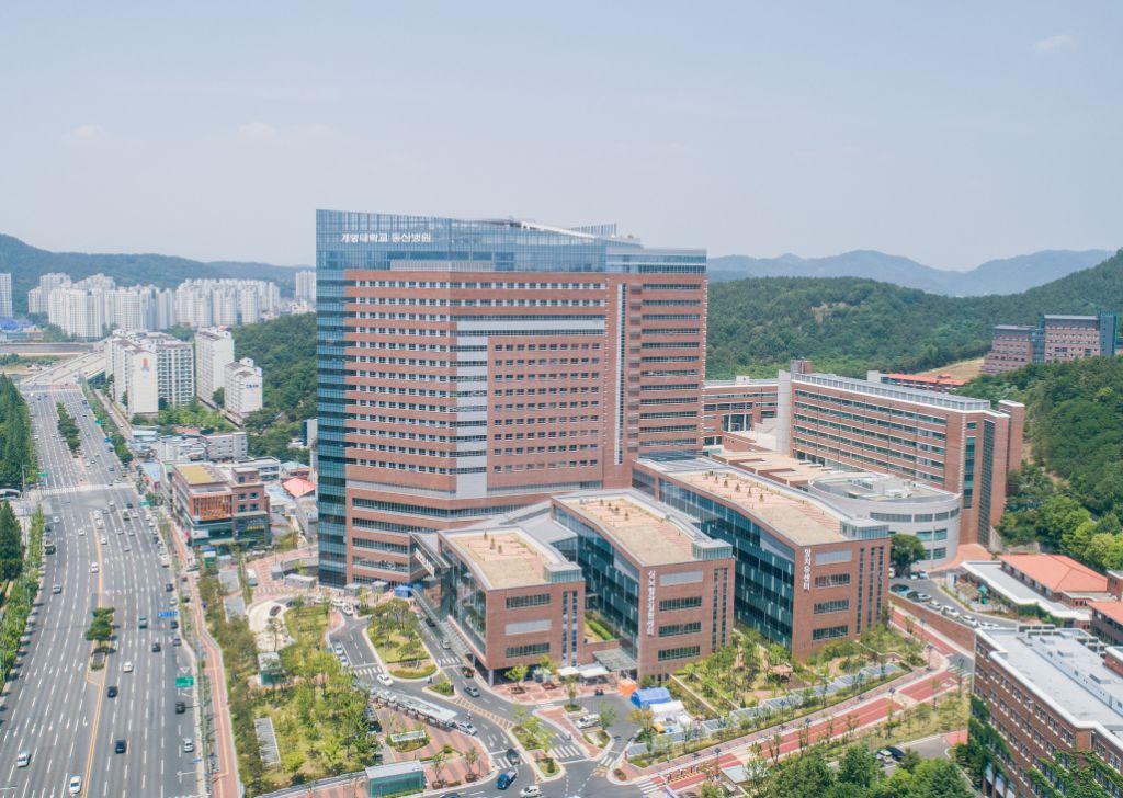 은근히 의료 인프라 쩌는 대구광역시 | 인스티즈