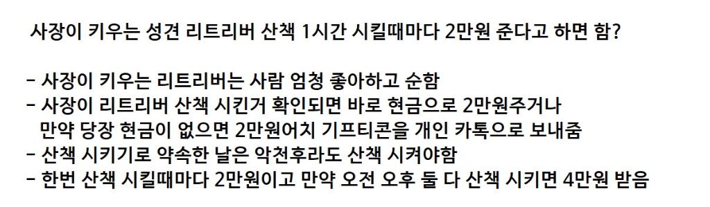 사장이 키우는 리트리버 산책 1시간 시킬때마다 2만원 준다고 하면 함? | 인스티즈