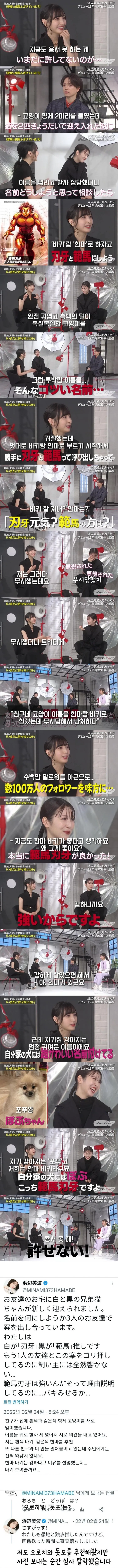 친구 고양이를 한마 바키라고 부르는 일본 여배우 | 인스티즈