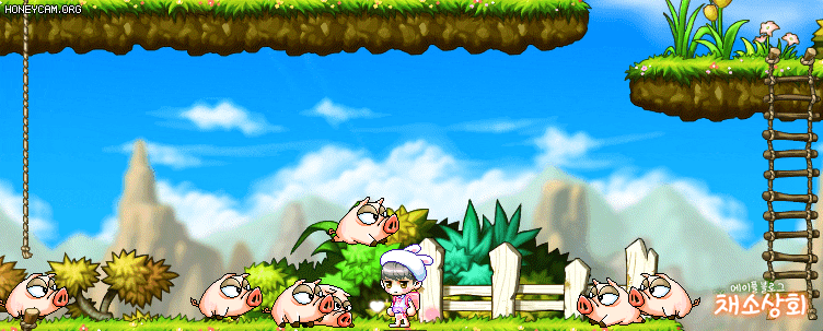 메이플스토리 데미지 스킨 모음 | 인스티즈