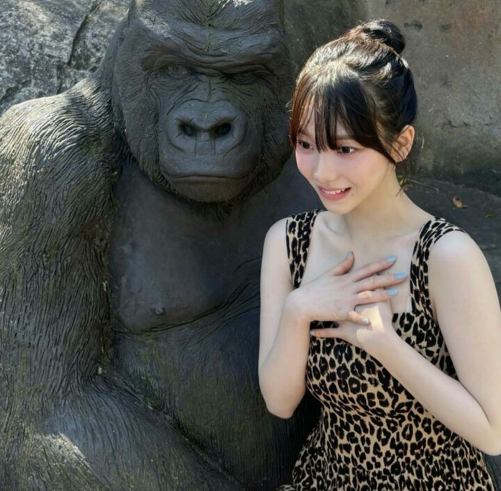 미녀와야수 이미지