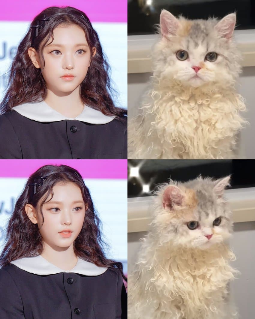최근 더 고양이 같아진 뉴진스 강해린 미모 | 인스티즈