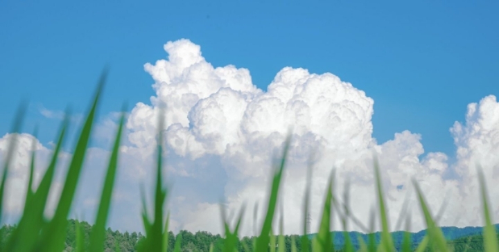 애니메이션 배경풍 사진 찍는 일본 여고생들 | 인스티즈