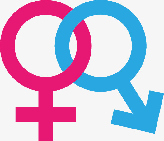 지증왕의 그곳은 45cm였다? 신라인과 성(性) 이야기 | 인스티즈