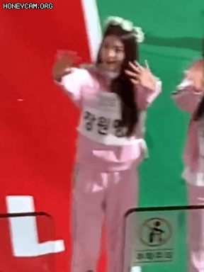 여전한 밥파고 아이브 장원영 ㅋㅋㅋ | 인스티즈