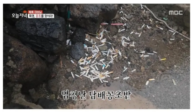 제주도에 있다는 천연 재떨이...JPG | 인스티즈