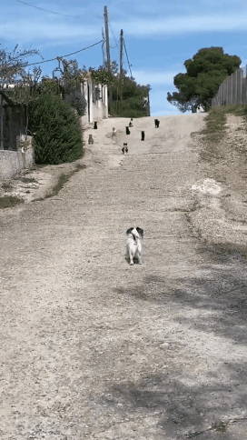 길거리에서 일진 동생들을 만난 엉아 | 인스티즈
