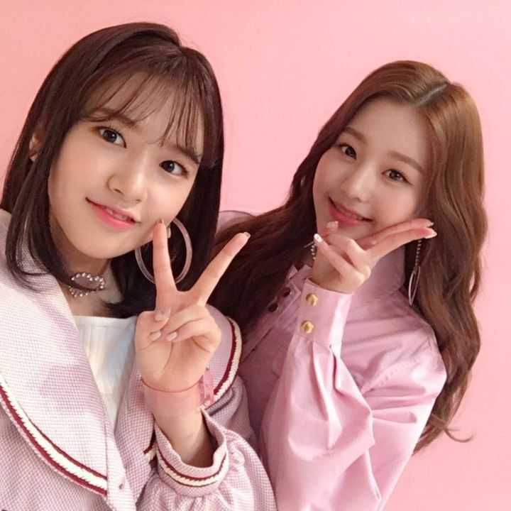 아이브 안녕즈 안유진 장원영.gif | 인스티즈