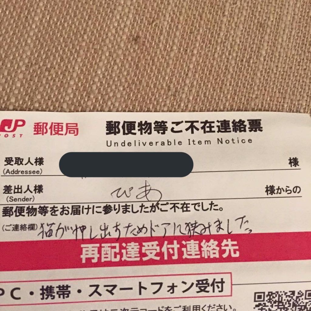 고양이가 있어서 우편물을 배달하지 못했습니다 | 인스티즈