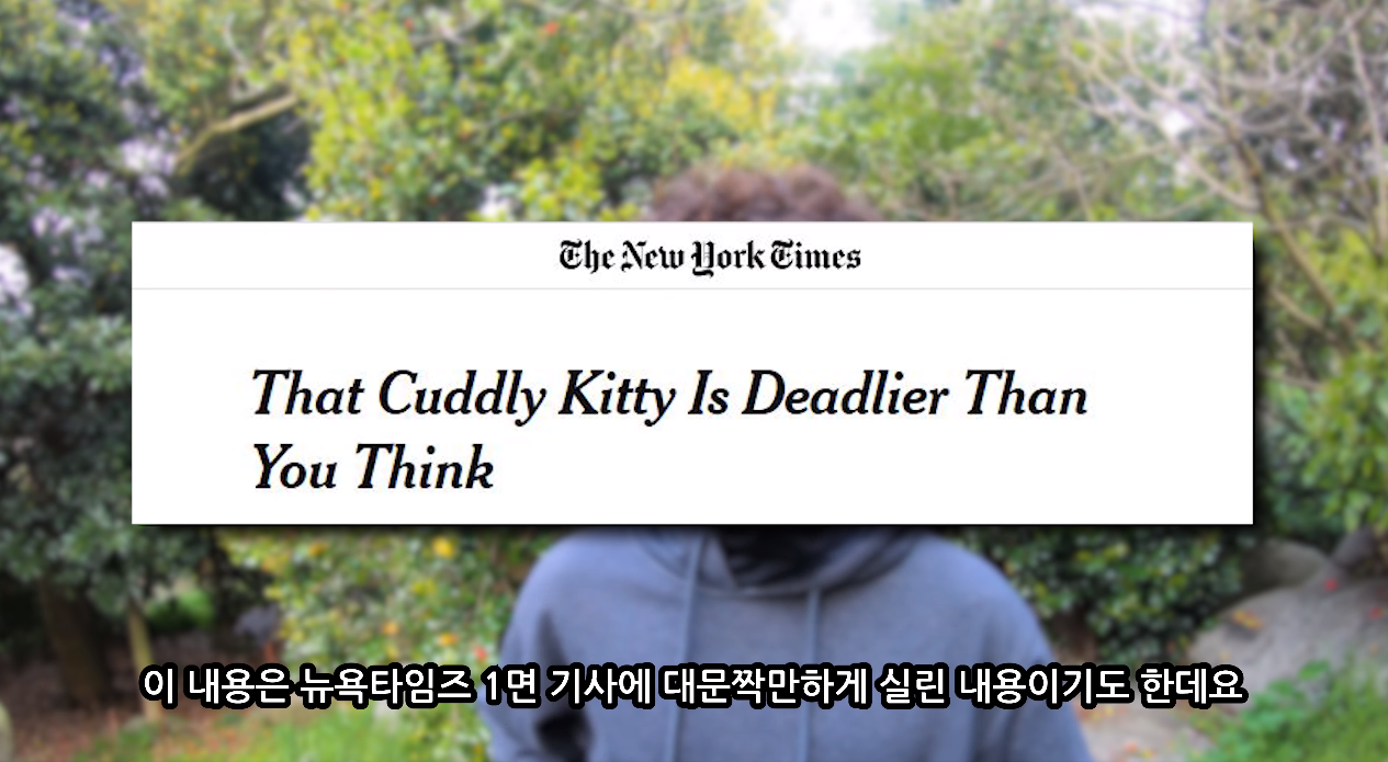 일부 몰지각한 캣맘들은 이 악물고 모른척하는 내용.jpg | 인스티즈