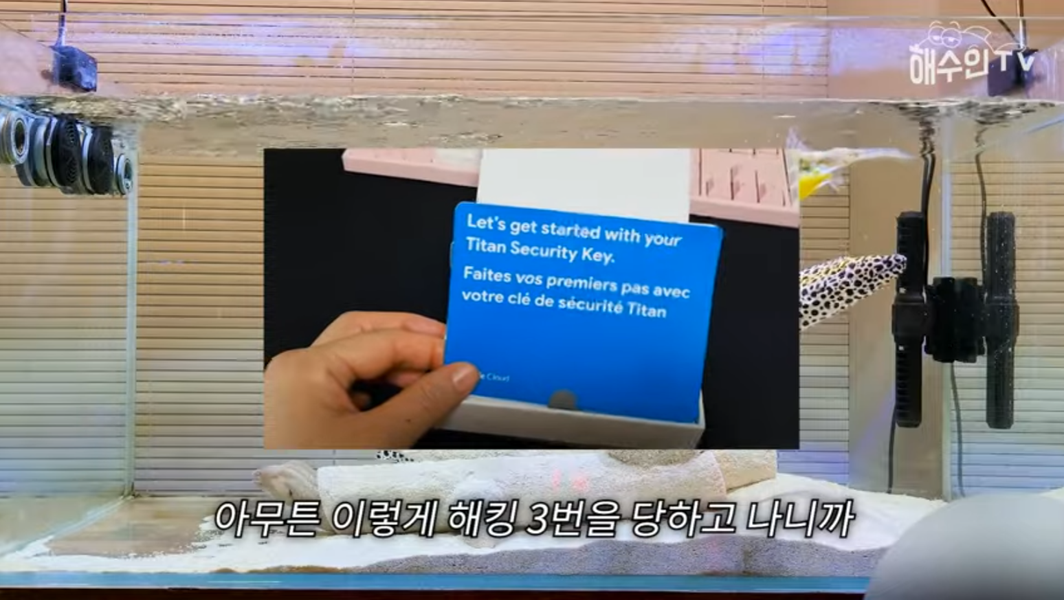 유튜브 계정이 3번이나 해킹 당한 이유 | 인스티즈