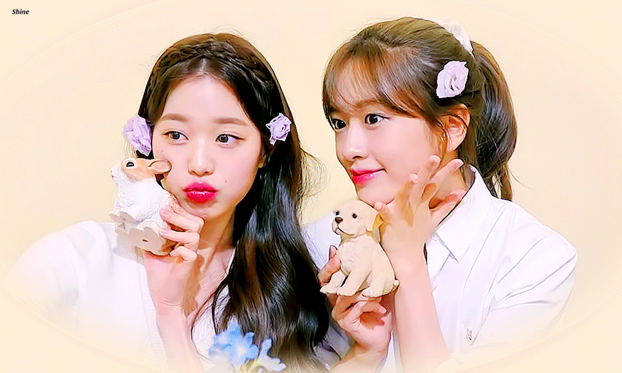 데뷔 이후 햇수로 5년 만에 처음으로 자컨나온 아이브 안녕즈 안유진 장원영.gif | 인스티즈