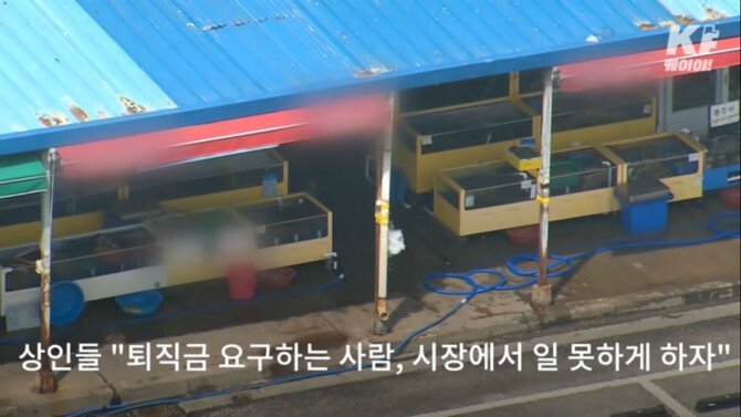 정말 몰상식하고 격떨어지는 수산 시장..jpg(시장경제 살릴필요가없는이유) | 인스티즈