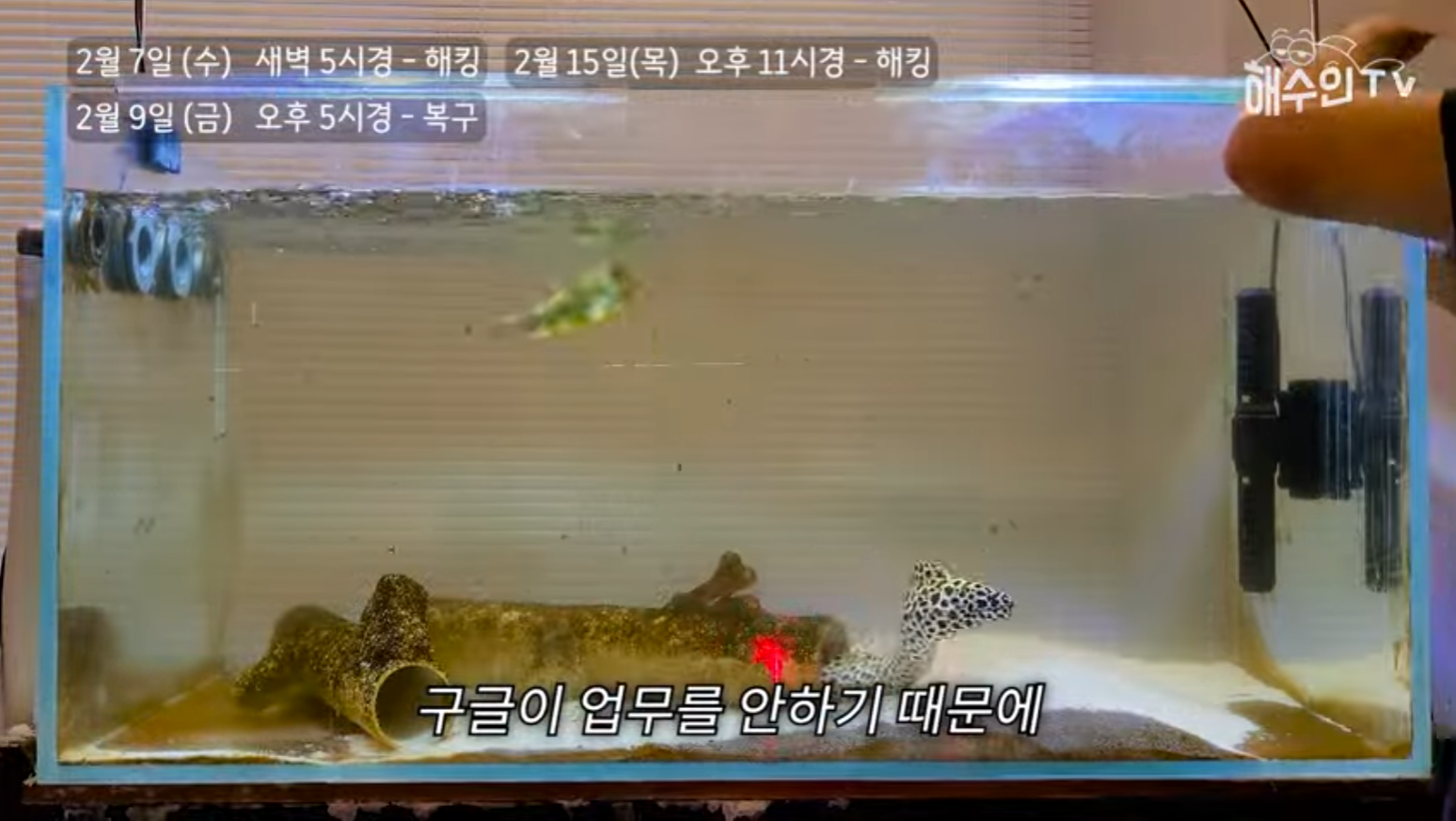 유튜브 계정이 3번이나 해킹 당한 이유 | 인스티즈