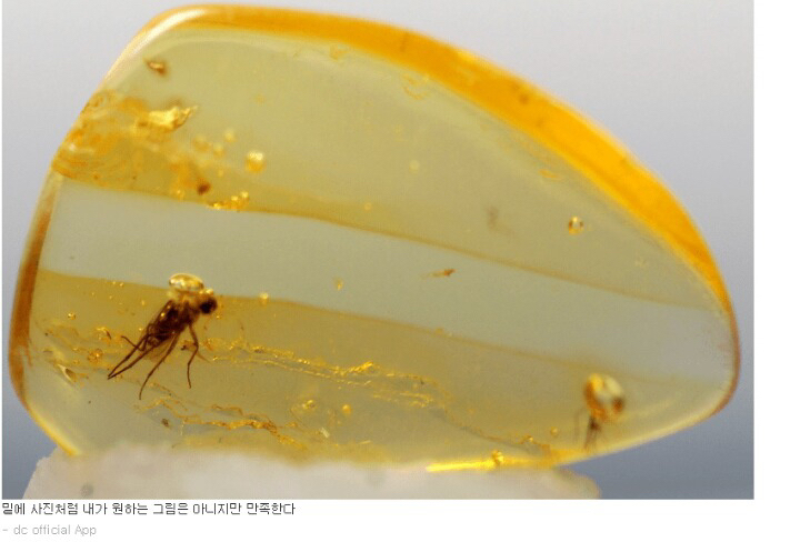 9c1486881a1a93683f21e5cf56c315e00c129208