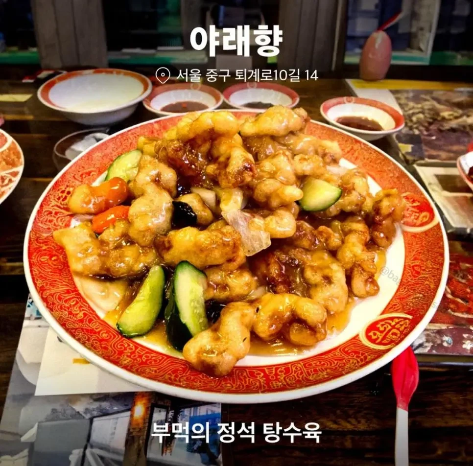 탕사모 회원들이 뽑은 전국 9대 탕수육 | 인스티즈