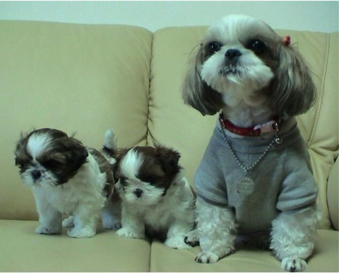 9c591446bade083f5d1e9976dac4f970452bef61