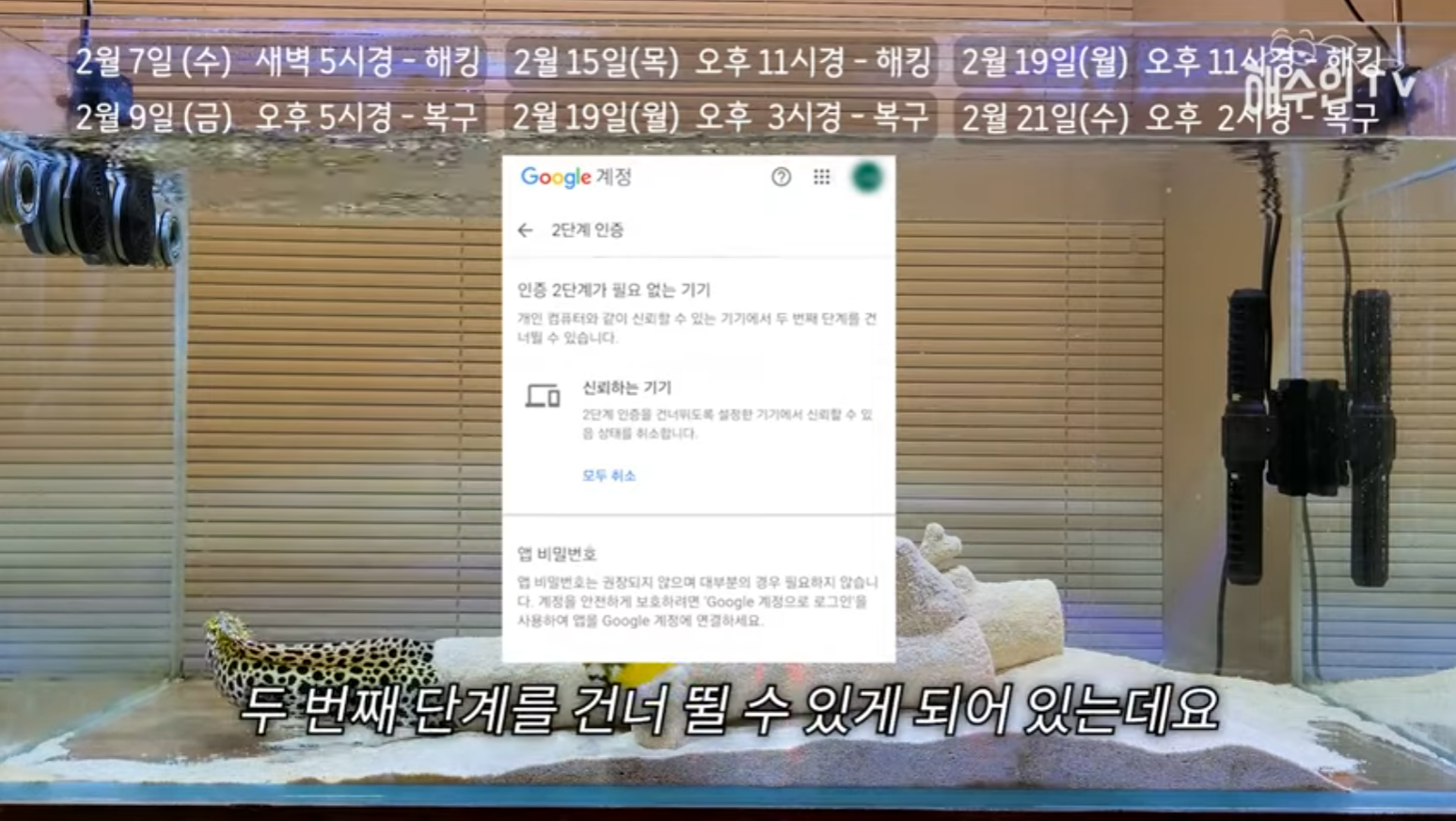 유튜브 계정이 3번이나 해킹 당한 이유 | 인스티즈