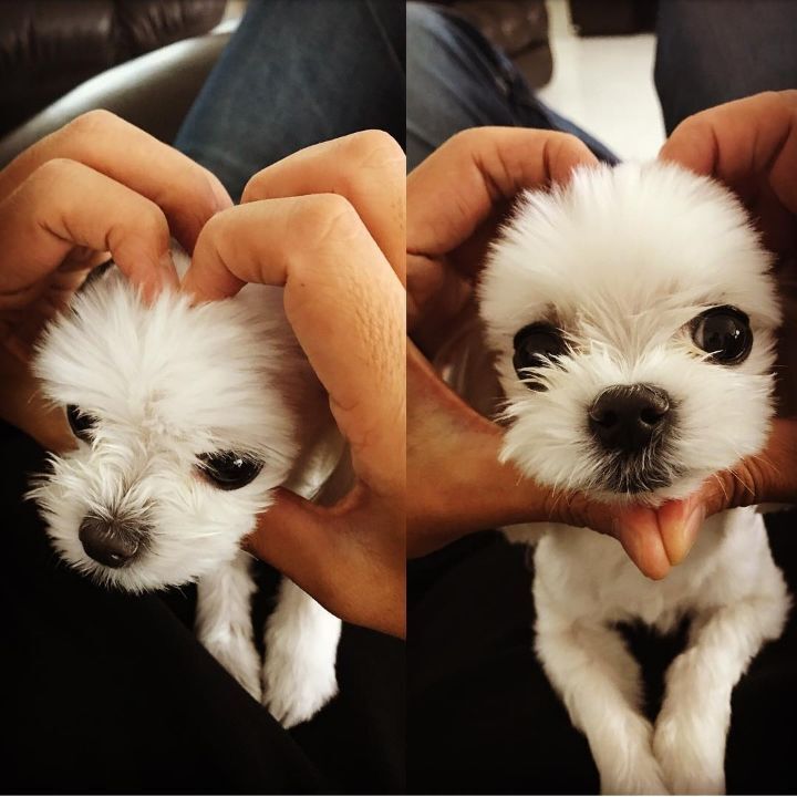 9d12d1b121498ce70a51795a004ced578452819a