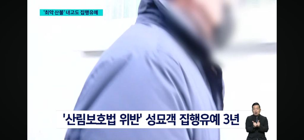 작년 경북 일대 '역대 최악의 산불' 주범, 집행유예 선고 "고의 아니야" | 인스티즈