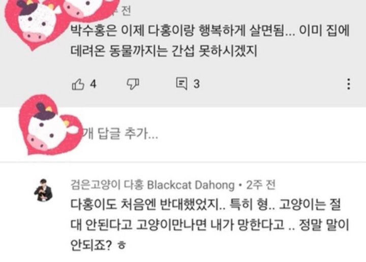 다홍이 만나기 전 박수홍 상태 | 인스티즈