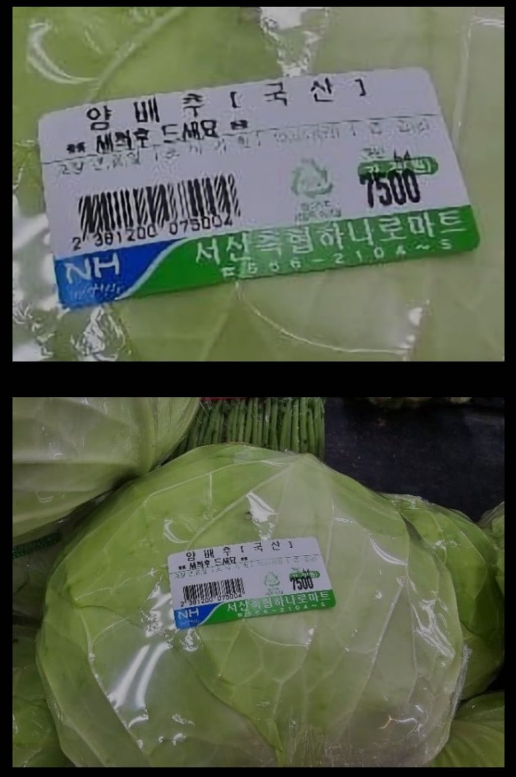 미쳐버린 양배추 가격 | 인스티즈