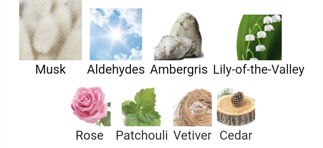 가을겨울에 쓰기 좋은 머스크 노트 향수들.jpg | 인스티즈