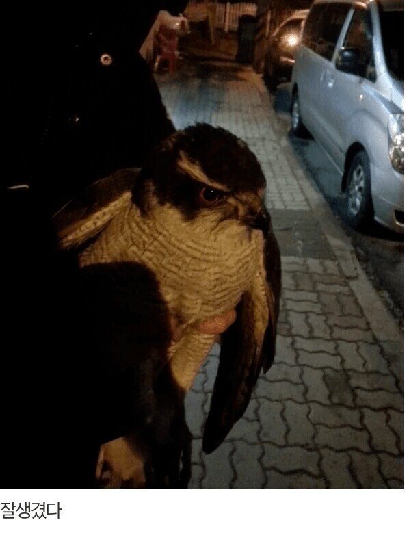 새줍하고 한시간동안 사진찍힌 디시인.jpg | 인스티즈