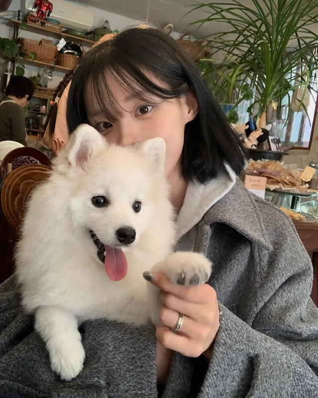 인스타 인플루언서 @chajinah_ | 인스티즈