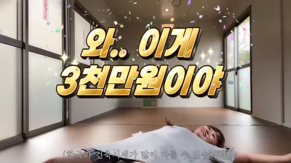 [스압주의] 일본인 캣맘 유튜버 2편 - 3천만원짜리 고양이 집 지음 | 인스티즈