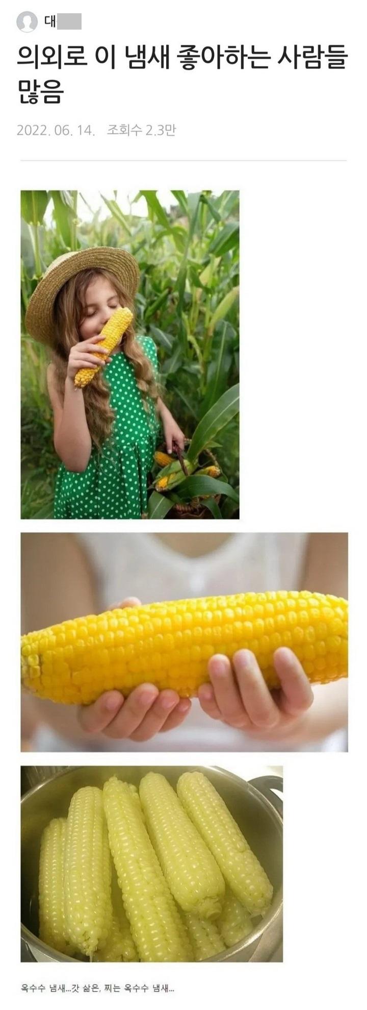 의외로 이 냄새 좋아하는 사람들 많음 | 인스티즈