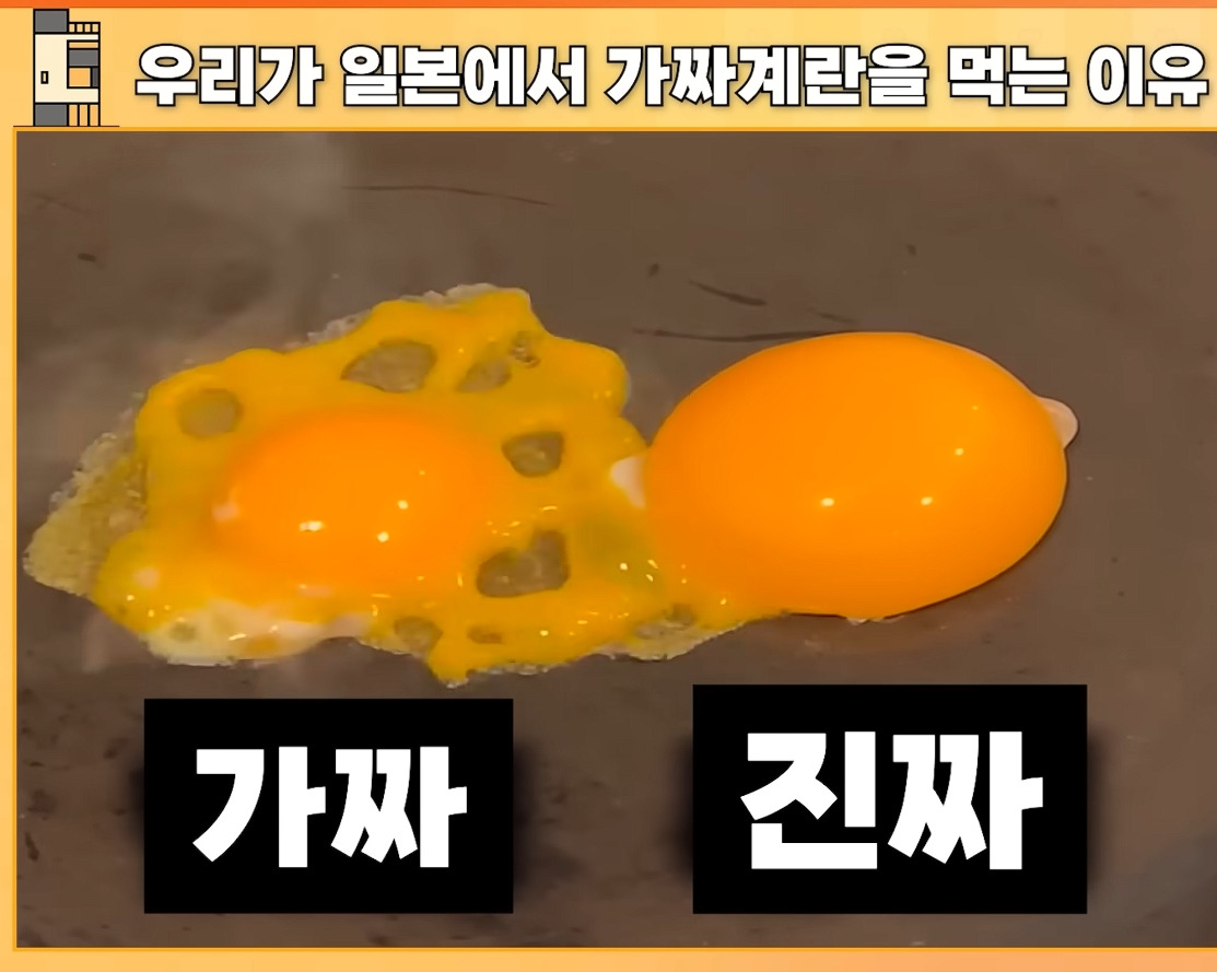 ???:일본 계란은 차원이 다름 | 인스티즈