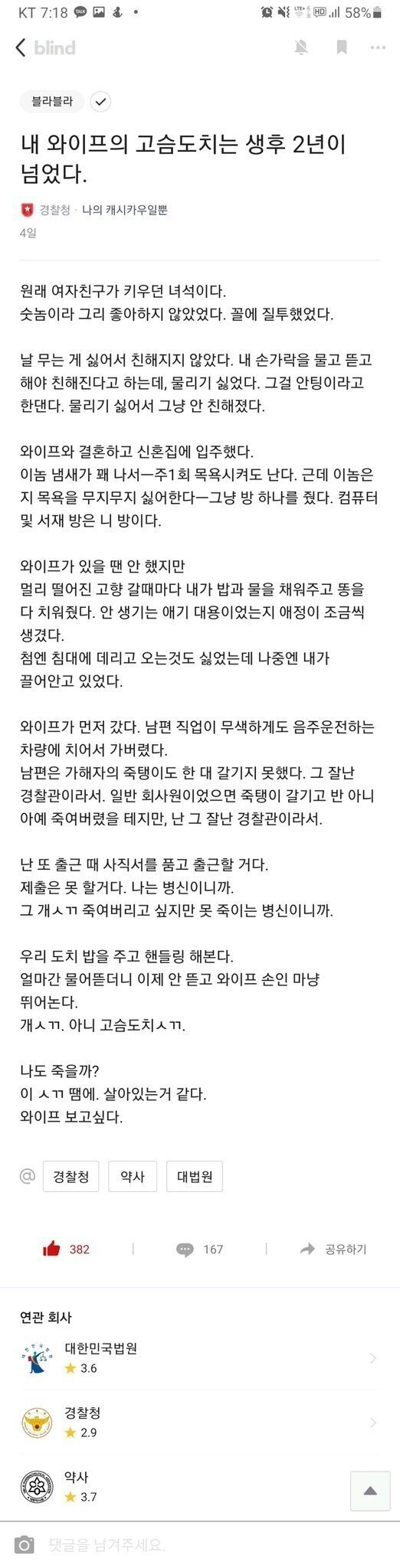 아내가 키우던 고슴도치..jpg | 인스티즈