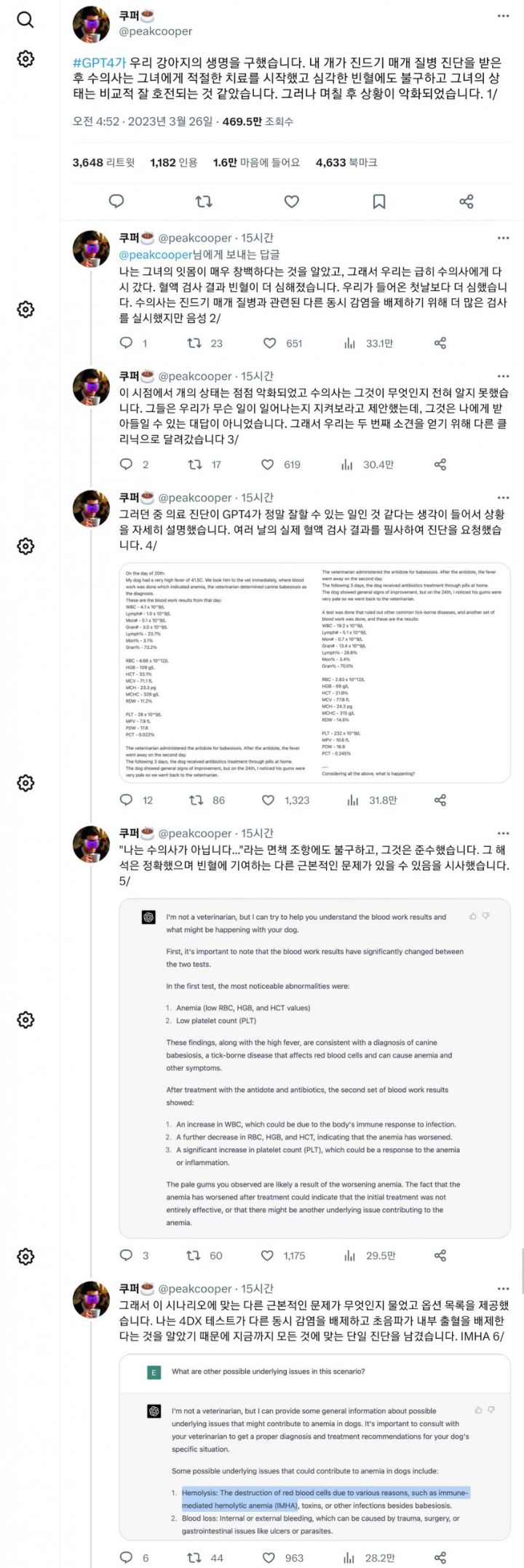 gpt4 덕분에 댕댕이 치료 잘 받은 썰 | 인스티즈