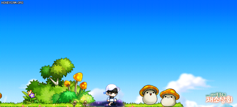 메이플스토리 데미지 스킨 모음 | 인스티즈