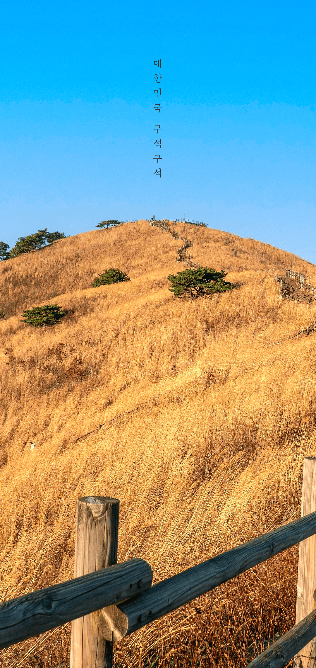 한국관광공사 공식 11월 월페이퍼 안드로이드 버전 | 인스티즈