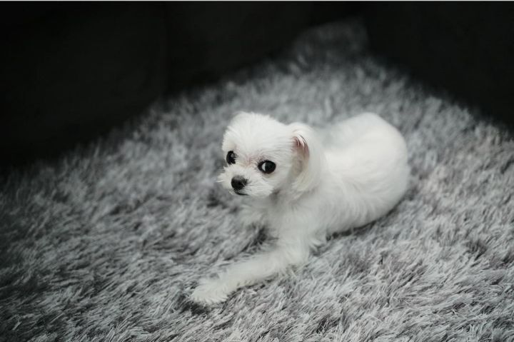 9ecc766d2f91a78c2efe19c3375156ef96ea2cd8