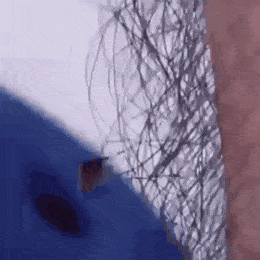 제모 안하면 좋은점.gif | 인스티즈