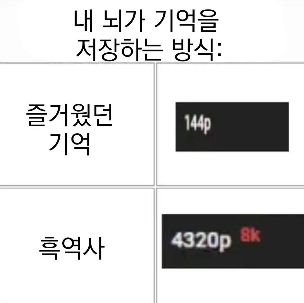 사람의 뇌가 기억을 저장하는 방식.JPG | 인스티즈