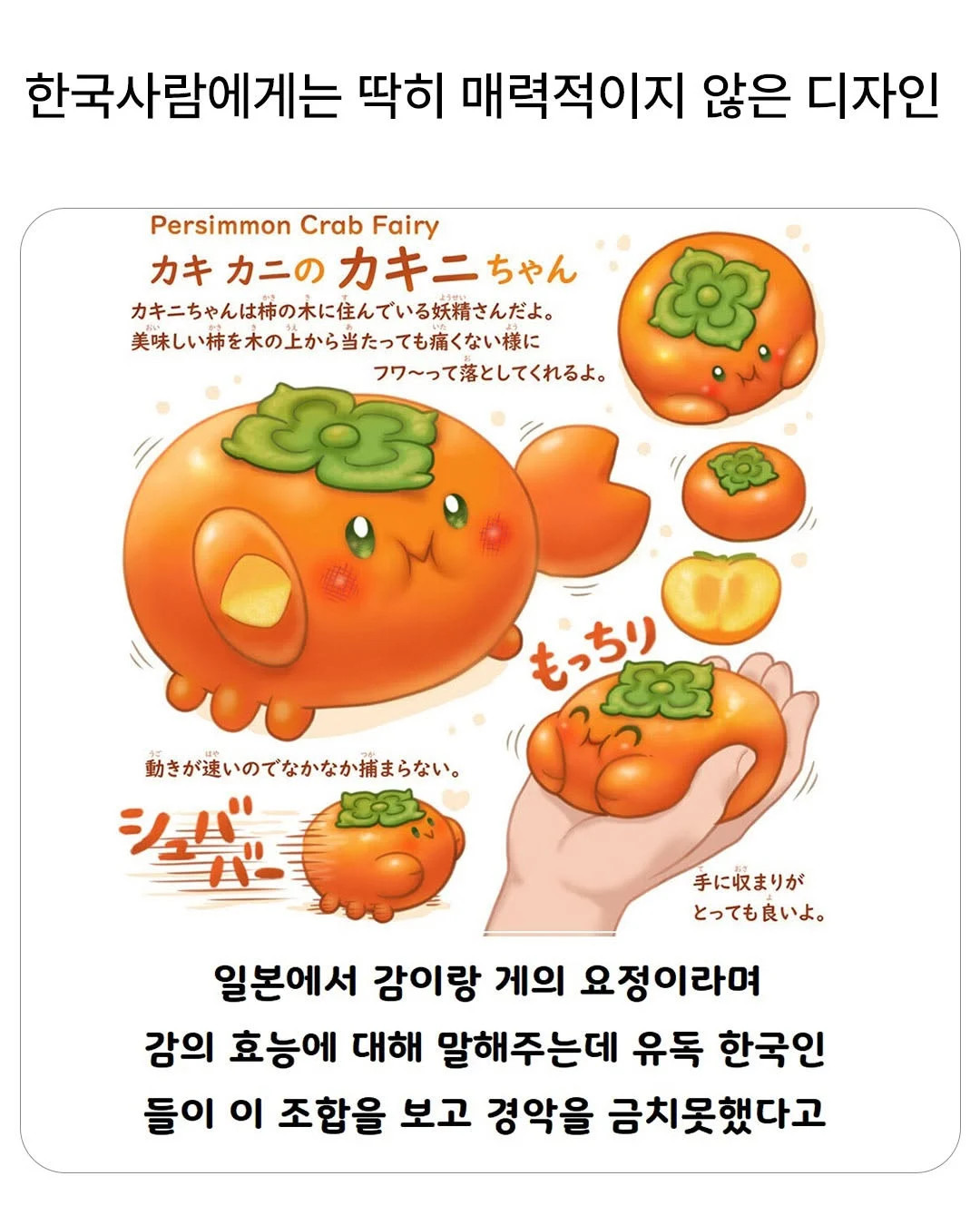 한국사람에게는 매력적이지 않은 디자인 | 인스티즈