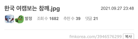 한국 여캠보는 중국인.jpg | 인스티즈