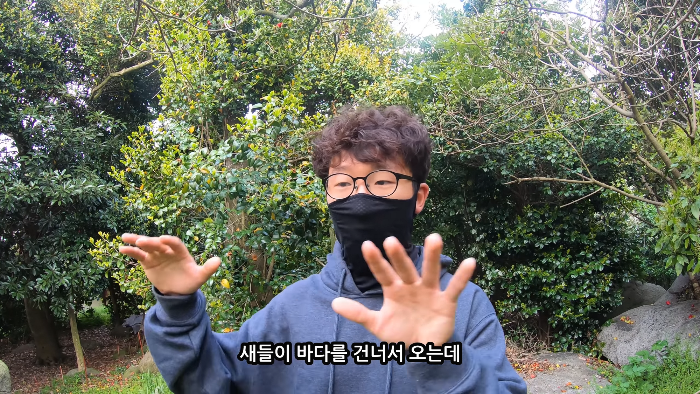 [사진100장스압] 고양이가 자연생태계에 끼치는 심각한 영향 | 인스티즈