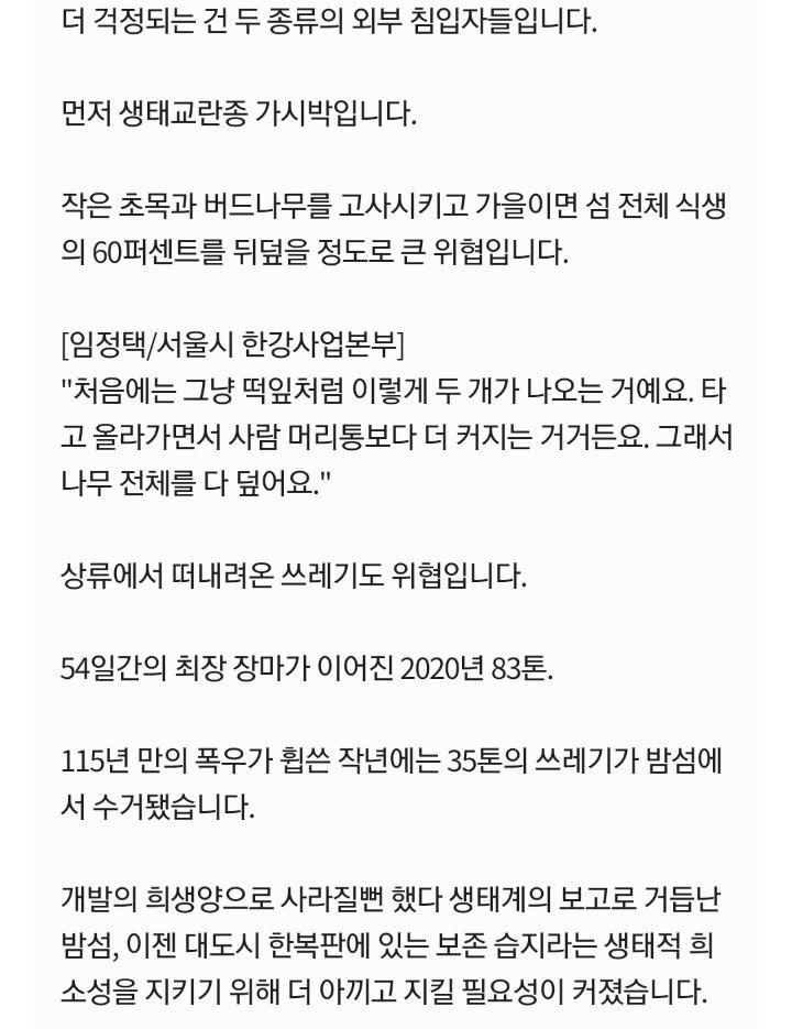 사람 발길이 끊긴 한강 밤섬 6.4배나 더 커졌다 | 인스티즈