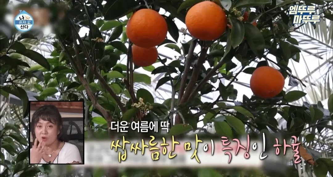 나혼산) 제주도에 있다는 커피 오마카세 ..jpg | 인스티즈