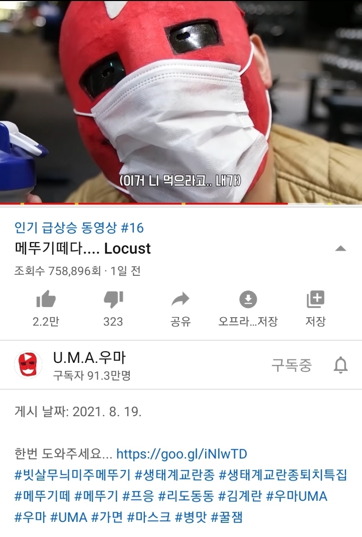 피지컬갤러리 김계란도 합방하기 싫어하는 90만 유튜버 | 인스티즈