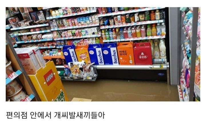 싱글벙글 디시 편의점갤러리.JPG | 인스티즈