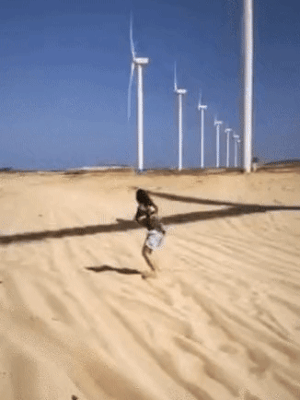 사막 처음가면 죽는 이유.gif | 인스티즈