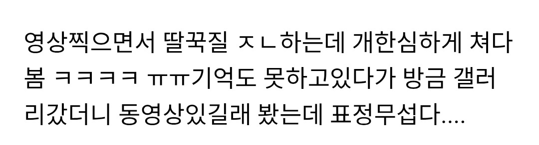 어제 술취해서 기억안나는데ㅋ 강아지들이 경멸스럽게 쳐다보네ㅠㅋ | 인스티즈
