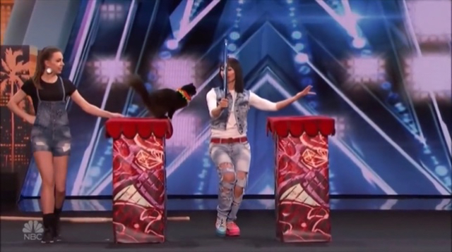 말도 안듣고 훈련도 안되는 ㅈ냥이 뭐하러 키움 ㅋㅋ | 인스티즈